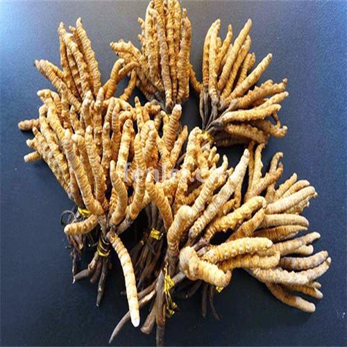 天台县茅台酒五粮液回收实体店高价回收断条冬虫夏草(天山区茅台酒回收)